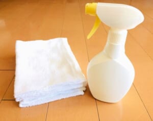 室内でほうきはNG！　コロナ禍に知りたい病気にならない掃除術