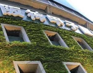 阪神・西純　プロ初本塁打に早くも「二刀流」待望論…ファンからクリーンナップ望む声も