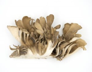 朝食べて血糖値の上昇をゆるやかに！「簡単まいたけレシピ」3選