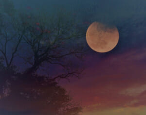 なにわ男子が語る自身のかわいいところ「存在そのもの（笑）」