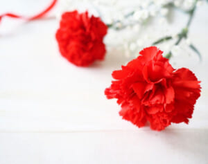 二宮和也「母への感謝、カーネーションじゃ足りない！」