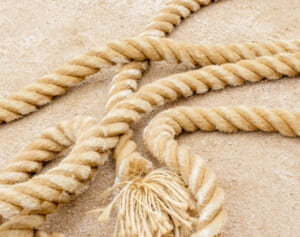 原宿で建物外壁に女性5人を吊るす「緊縛アート」が物議…“危険すぎる”と心配の声続出