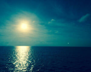 山では不法投棄になることも…注目集まる「散骨」のルールとマナー