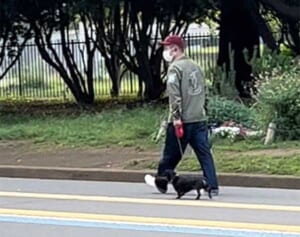 ハライチ澤部「実はめちゃしんどい」“散歩職人”のリアル散歩姿目撃