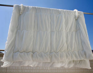 ベランダ大量発生する“クモみたいな小さな赤い虫”正しい対処法とは