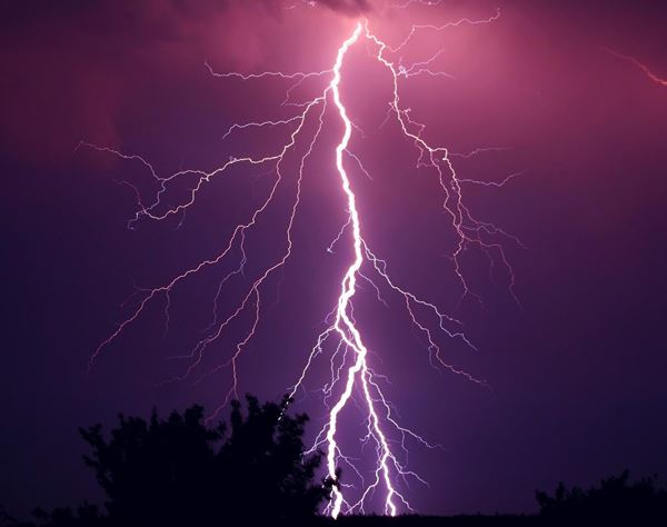 カリフォルニア州で1日に5万4千回超の落雷…雷に打たれた女性と犬2匹が死亡