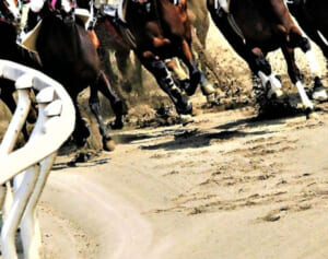 インジョンじゃい　競馬で6400万円大当たりも高額徴税で破産…制度に「国税局と言う名の暴挙」と怒りの声