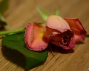 小倉ゆうか　イメージガタ落ちで中国進出も望み薄…朝倉未来との破局で待ち受ける茨の道