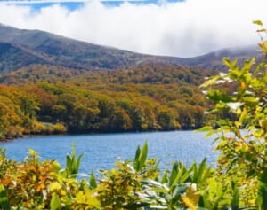 秋田の星空絶景宿が1泊1000円に！「県民割」よりお得な「市区町村割」