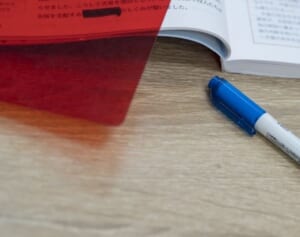 ヒカル　大学進学を「ある種の洗脳」「詐欺」と一刀両断し波紋…“極端すぎる”と異論続出