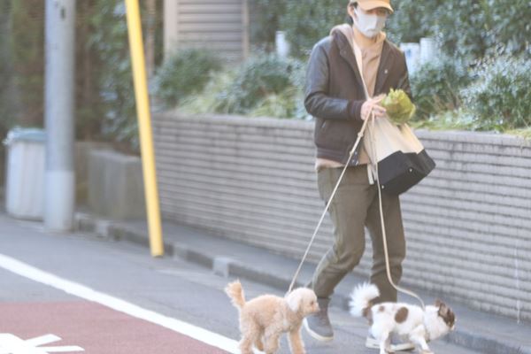 有吉弘行は妻・夏目と仲良く、渡部建は一人でフンを処理…本誌が見た有名人の愛犬お散歩姿