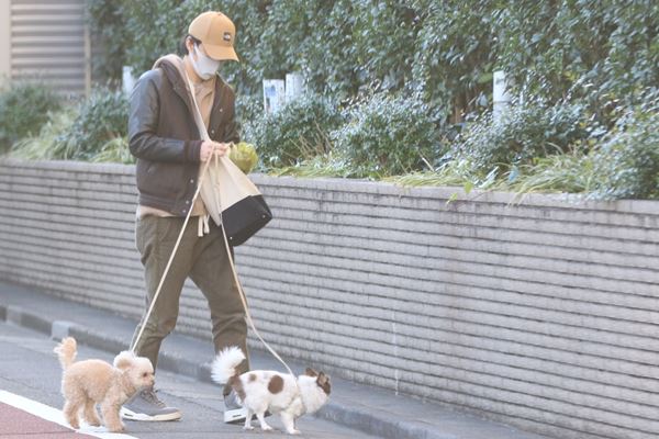 有吉弘行は妻・夏目と仲良く、渡部建は一人でフンを処理…本誌が見た有名人の愛犬お散歩姿