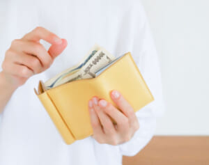 SNS物議受けFPが解説　実例付き年収200万円で豊かに暮らす方法