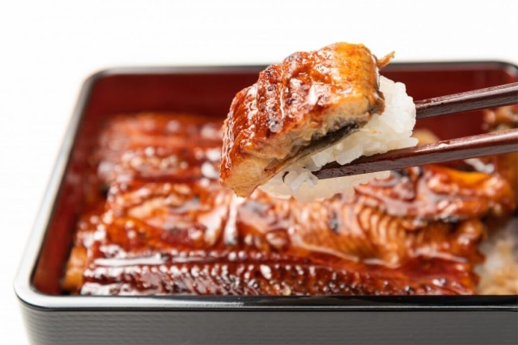 【土用丑の日】絶滅寸前のうなぎを食べるのは悪？ 消費者に求められる“危機意識”