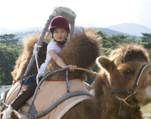 愛子さま　ご静養先でラクダに！夏の秘蔵写真で振り返るご成長20年
