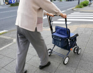 アルツハイマー研究の第一人者語る「論文捏造問題と治療薬開発の最前線」