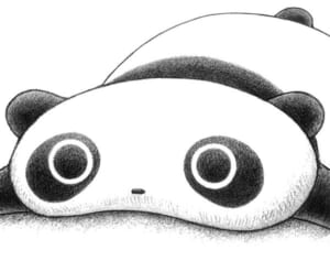 たれぱんだ、リラックマ、すみっコぐらし“衝撃の誕生秘話”