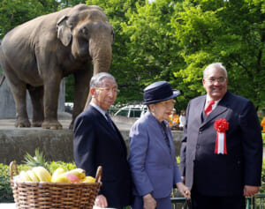 国内最高齢ゾウのアヌーラ　三笠宮さまご夫妻の平和の願いを乗せて