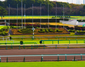 「競馬場はゴミ捨て場じゃない」話題呼ぶ騎手の提言にJRAが回答「少しずつ改善されている」