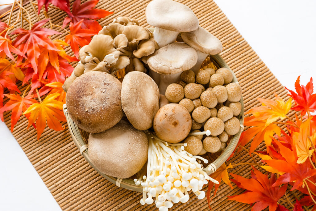 旬だから安くておいしい「きのこ」の“大病を防ぐ!”6大健康パワーを総ざらい
