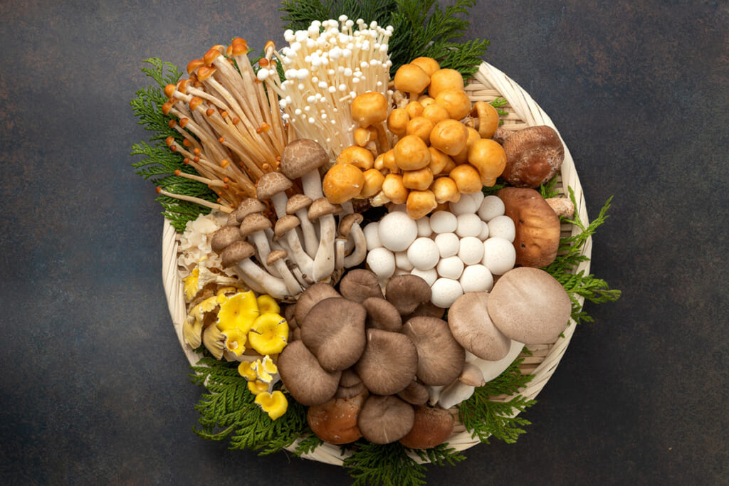 まいたけは「がん」、しいたけは「骨粗しょう症」…旬で安いきのこ8種の“大病を防ぐ！”健康パワー