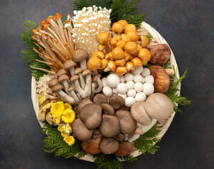 まいたけは「がん」、しいたけは「骨粗しょう症」…旬で安いきのこ8種の“大病を防ぐ！”健康パワー