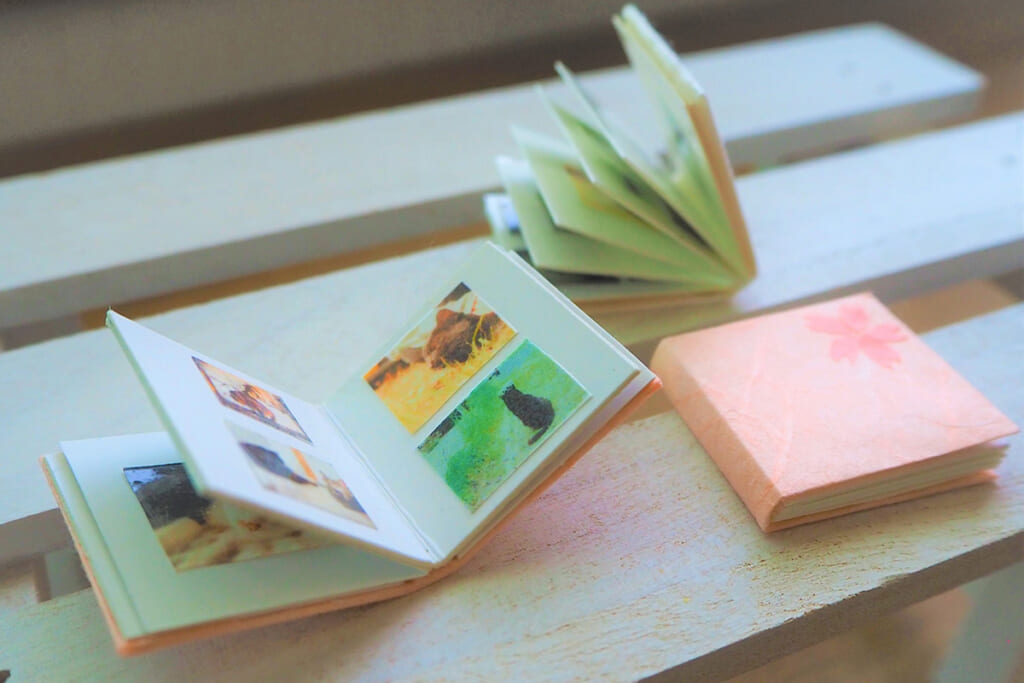 ペットロス防ぐ悲しみを癒す看取り方 家族同然の存在を失ったあなたへーー