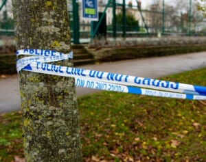 ソーシャルメディアで出会った8人の少女が男性を刺殺