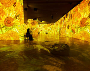 ゴッホを全身で浴びる！360度体験型ミュージアムに行ってきた