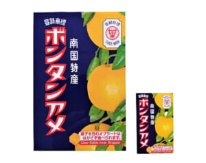 じゃがりこ、ボンタンアメ、ココアシガレット、国民的お菓子とコラボした御朱印帳でお参り！