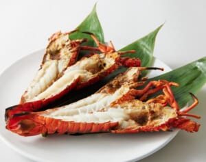 【お歳暮にも最適】半島の豊かな海を感じる絶品お取り寄せ4選＜千葉・石川・京都・島根編＞