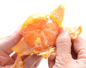 医学博士が教える「薄い皮や白いスジは捨てないで」正しいみかんの食べ方