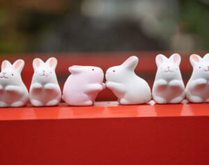 2023年の干支・卯にあやかって、 全国「うさぎ参りができる」おすすめ神社5