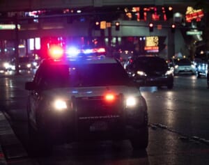 12歳の少女が9歳の弟を刺殺