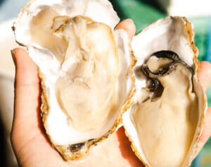 木村拓哉　視聴者驚愕！『ホンマでっか』で明かした“伝説の主演ドラマ”の裏側