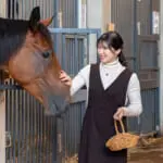 愛子さまがお世話された馬たちが繋ぐ国際親善…新任大使乗せる馬車が3年ぶり復活！