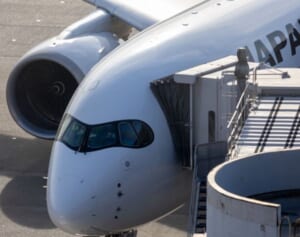 JALセールが接続障害で中止に、1週前のANAセール「使えばよかった」後悔する人続出