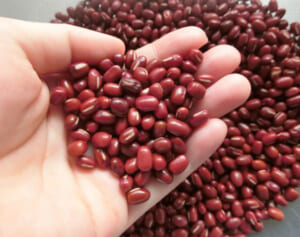 ポリフェノールと食物繊維が効果を発揮！「毎日あずき」で高血圧改善