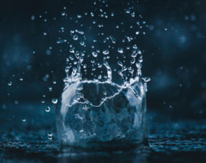 飼い犬を追いかけ沼に入った男性、“人食いバクテリア”に感染し死亡