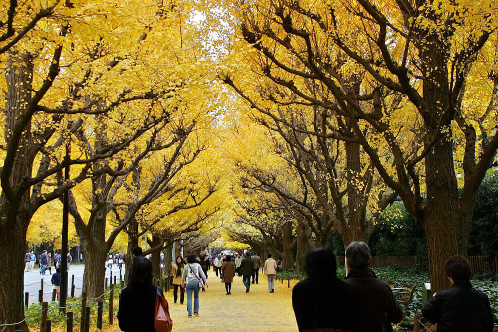 神宮外苑再開発は東京五輪の“負の遺物”環境より商業エリアやビル賃料で企業利益優先か