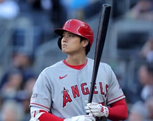 大谷翔平のスピーチに出席者が涙…披露宴にも総出で駆けつけた姉夫婦との意外な関係