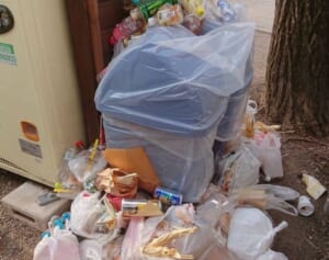 「神社はゴミ捨て場ではありません」神社が桜まつりでのポイ捨てに喝！主催者も「はっきり言って残念」