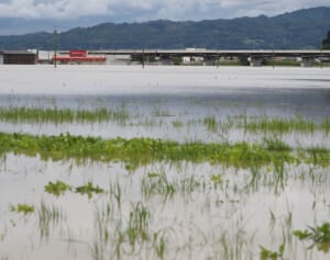 4年ぶりのエルニーニョ現象で家計圧迫、景気停滞の懸念も