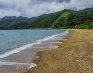 なにわ男子・西畑大吾 兄の心霊体験語る「いま霊轢いたっぽい」