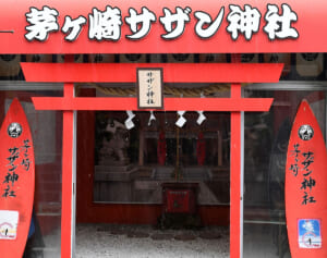 サザン神社に、サザンサブレ…今年45周年！サザンオールスターズを感じる茅ヶ崎のスポット8