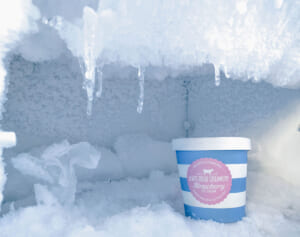 警察から逃げて冷凍庫に隠れた男、外に出られず死亡か