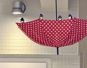 ツバメ守る「逆さ傘」がSNSで大絶賛も…商業モールが明かす複雑胸中「営業支障やお客様への糞被害があるのも事実」