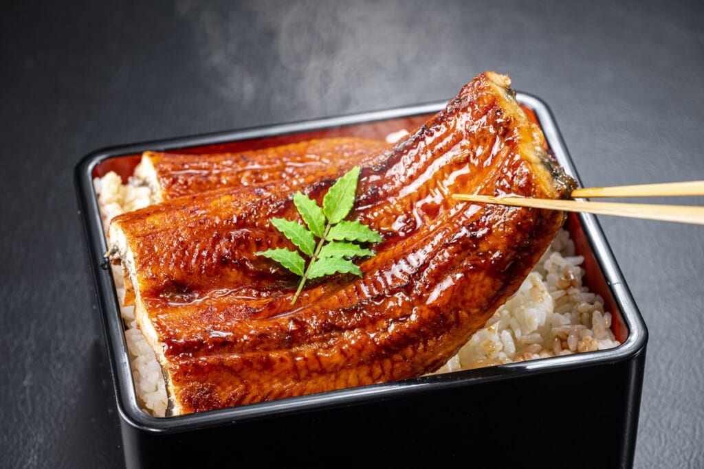 【土用の丑の日】絶滅危惧の「うなぎ」は食べてよい？「養殖だからOK」には大きな誤解が