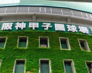 ナイター、気温25度、屋根あり……それでも熱中症になるスポーツ観戦の落とし穴！