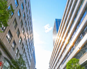 灼熱日差しが白髪やハゲの原因に…！今すぐできる頭皮対策4